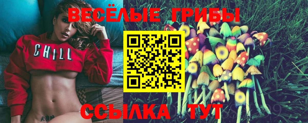 Псилоцибиновые грибы Psilocybe  Псилоцибиновые грибы MAGIC MUSHROOMS  Саки  Вход с VPN 
