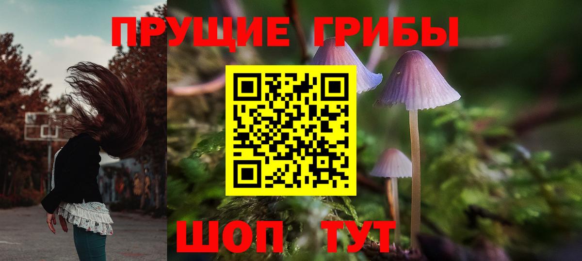 Псилоцибиновые грибы мухоморы Саки