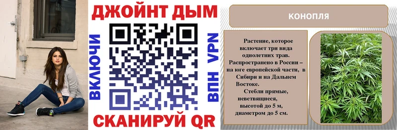 купить Саки Каннабис индика